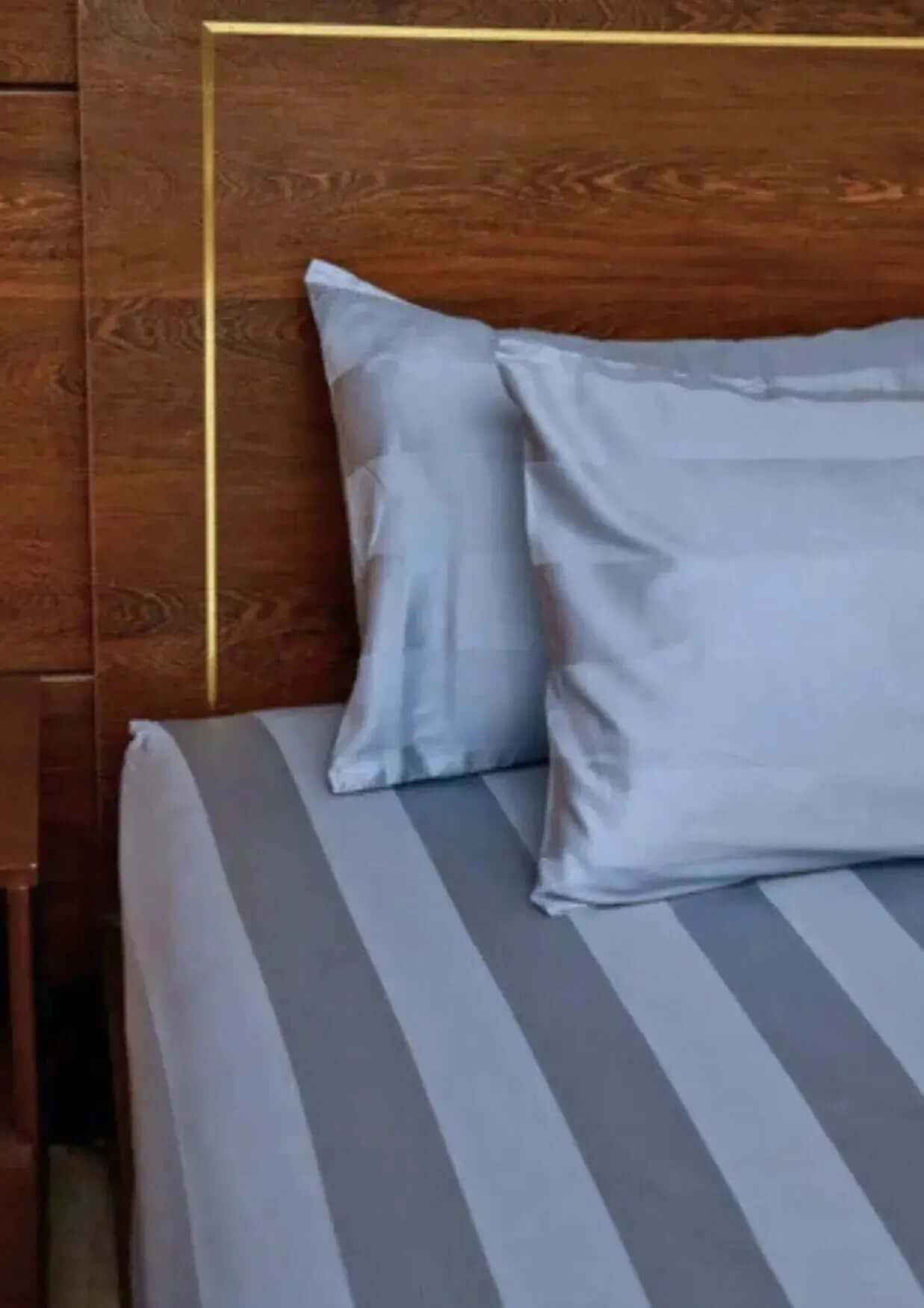Premium Quality Bed Sheet Set (Powder Blue)