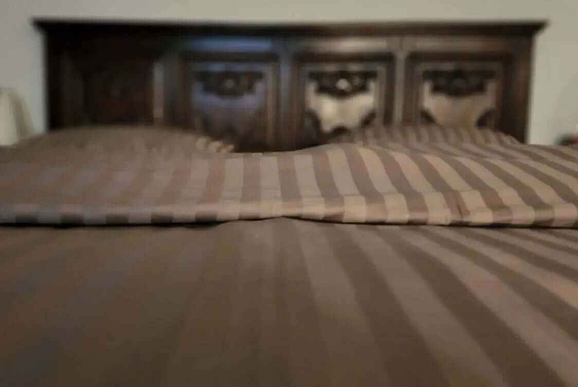 Premium Quality Bedsheet Set (Oak)