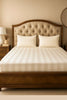 Premium Quality Bed Sheet Set With Flat Sheet (Ivory white wide stripe)