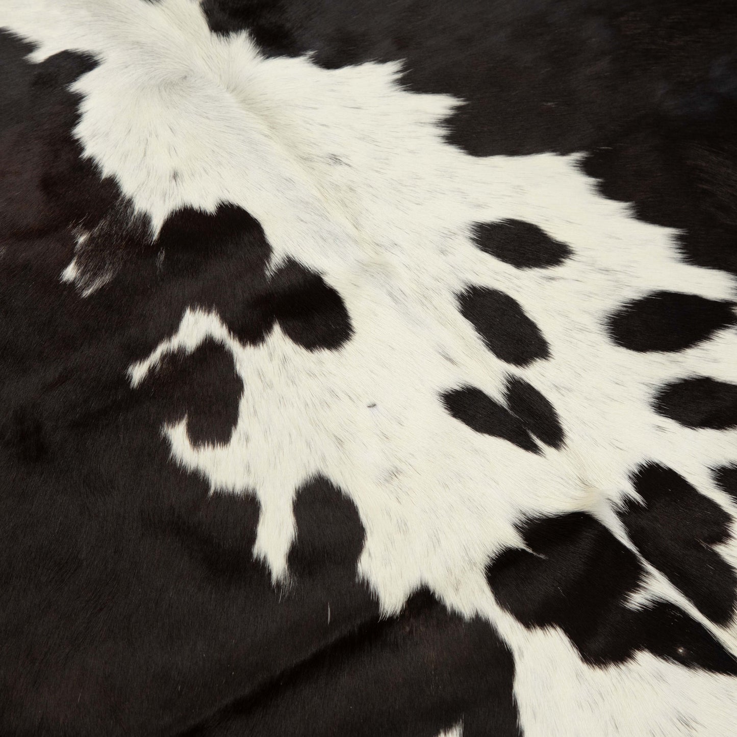 Brown - White & Black Exotic Cowhide  Rug