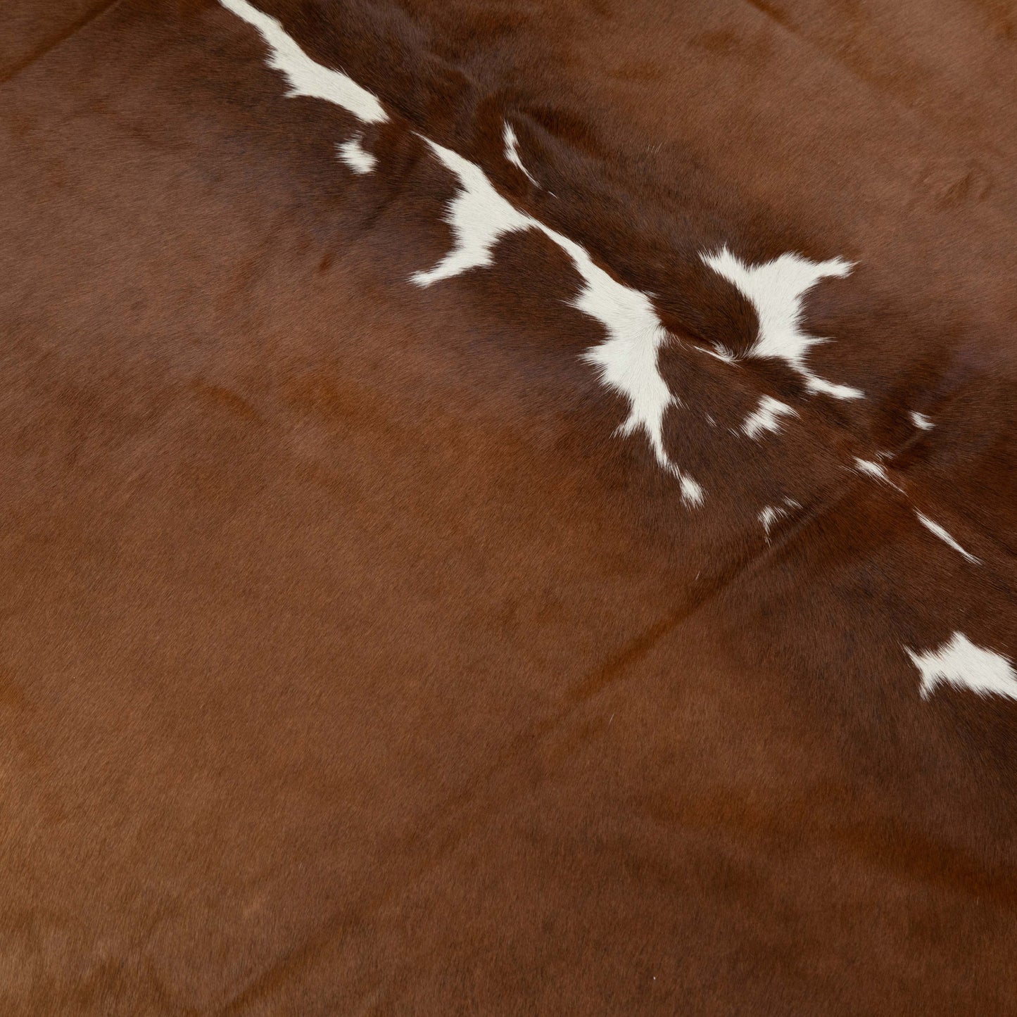 Exotic Cowhide Area Rug