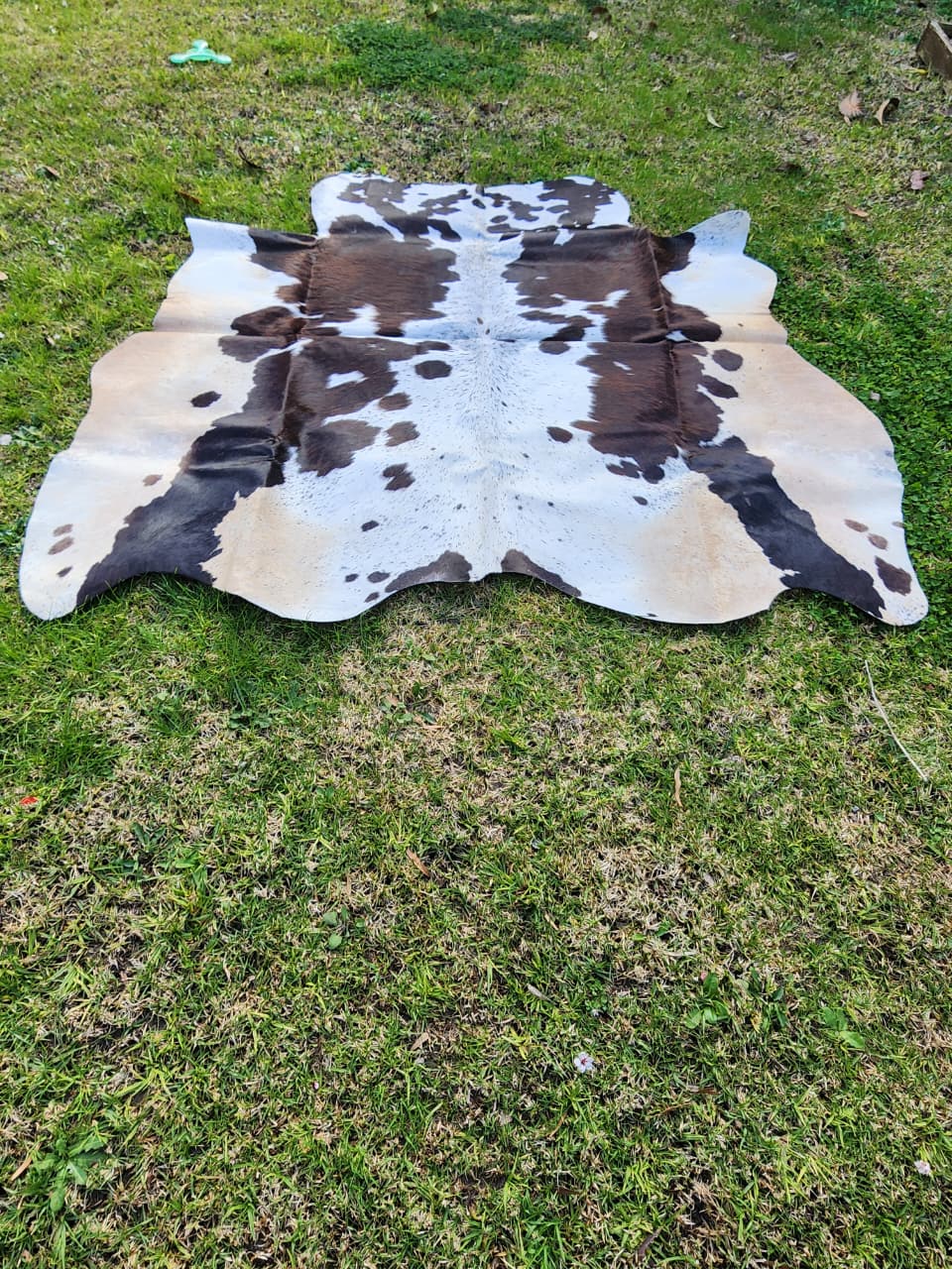 Premium Natural Cowhide Rugs -4